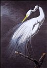 John James Audubon Great Egret painting